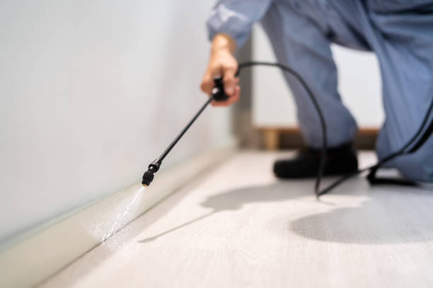 Bed Bug Pre-Treatment Preparation Assessment in Elk City