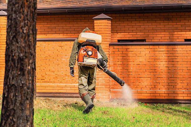 Bed Bug Clearance Verification and Documentation in Elk City